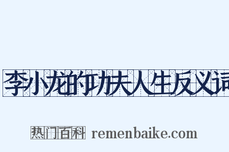 李小龙的功夫人生反义词是什么意思的图片